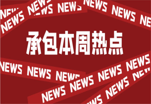 高壓、低壓接入的工商業儲能電站長啥樣？